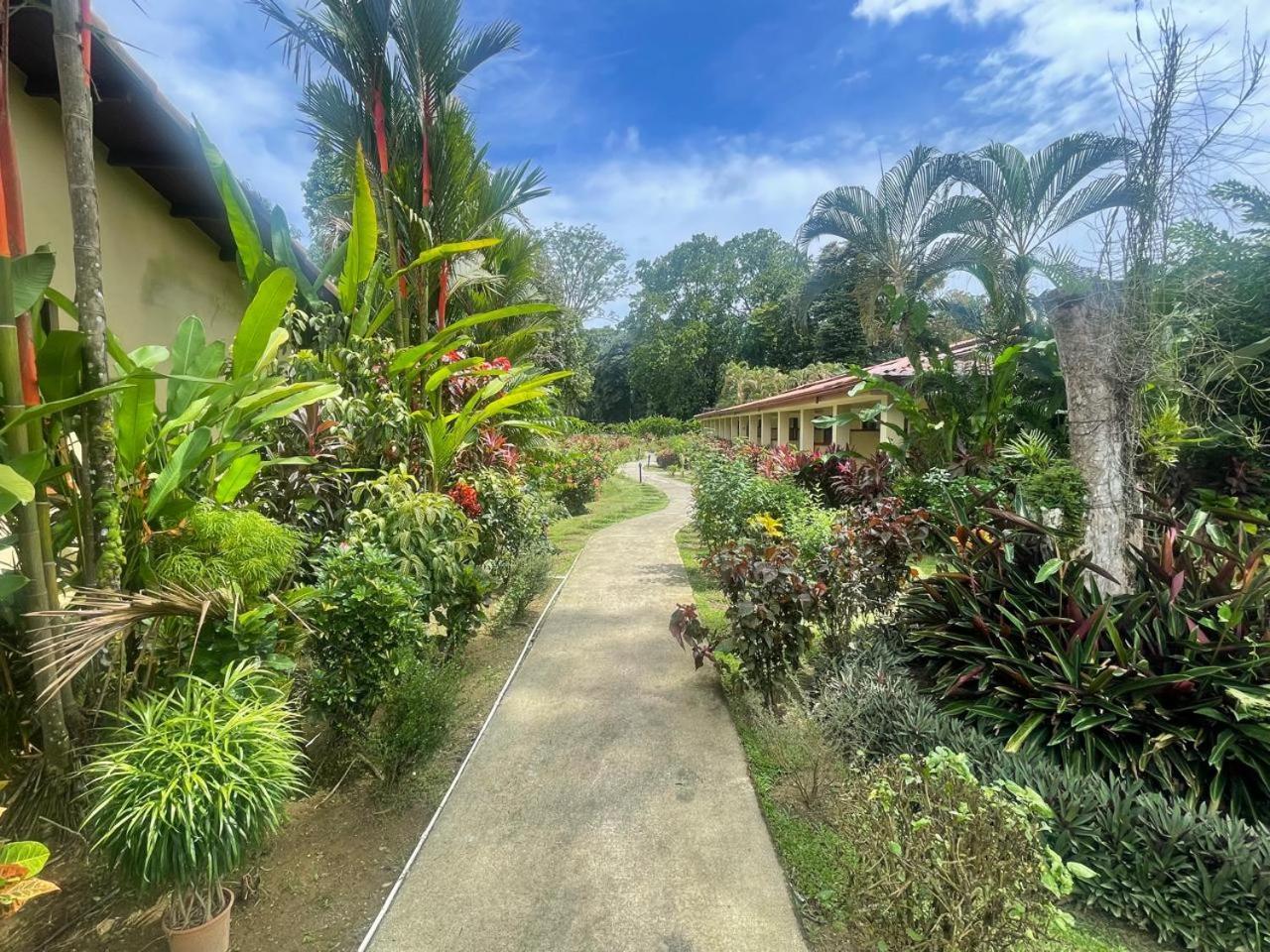 La Foresta Nature Resort Quepos Exterior foto